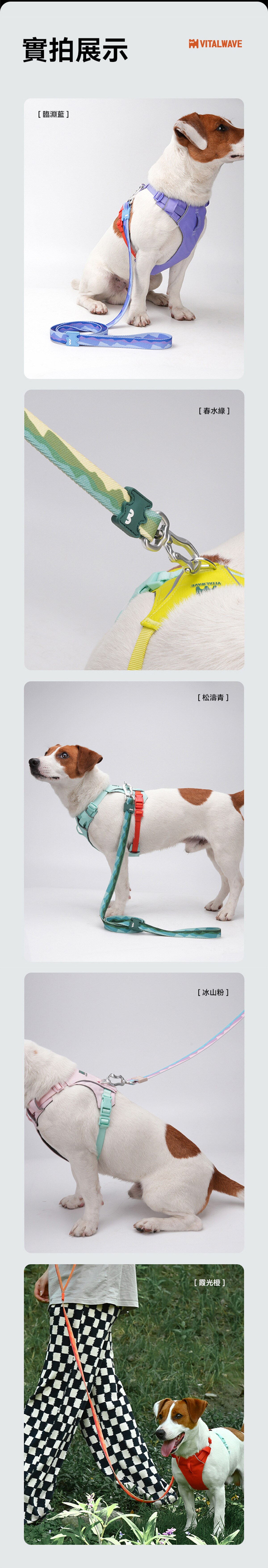 VITAL WAVE 漸變山海印花織帶牽引繩